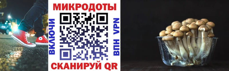 Галлюциногенные грибы Cubensis  ОМГ ОМГ ссылка  Советская Гавань 